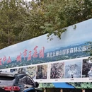 黄冈旅游 缩略图 17
