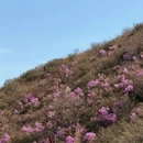 北京旅游 缩略图 2