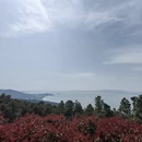 苏州旅游 缩略图 10