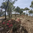 苏州旅游 缩略图 9