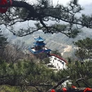 黄冈旅游 缩略图 4