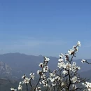 北京旅游 缩略图 13