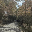 苏州旅游 缩略图 11