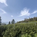 苏州旅游 缩略图 12