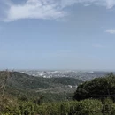苏州旅游 缩略图 14