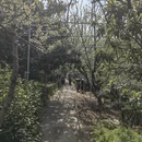 苏州旅游 缩略图 15
