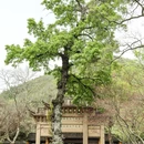 苏州旅游 缩略图 15