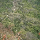 黄山旅游 缩略图 10