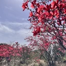 宣城旅游 缩略图 3