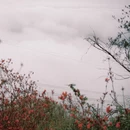 黄山旅游 缩略图 12