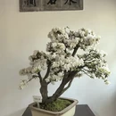 苏州旅游 缩略图 16