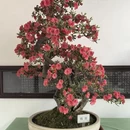 苏州旅游 缩略图 17