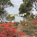 苏州旅游 缩略图 1