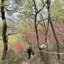 宣城旅游 缩略图 6