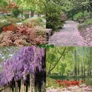 武汉旅游 缩略图 3