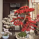 苏州旅游 缩略图 10