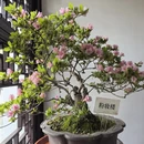 苏州旅游 缩略图 9