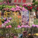 苏州旅游 缩略图 3