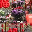 苏州旅游 缩略图 4