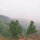 黄山旅游 缩略图 8