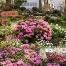 苏州旅游 缩略图 6