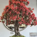 苏州旅游 缩略图 14
