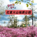 伊春旅游 缩略图 1