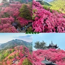 武汉旅游 缩略图 6