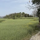 武汉旅游 缩略图 6