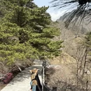 武汉旅游 缩略图 6