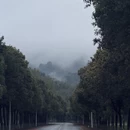 黄山旅游 缩略图 3