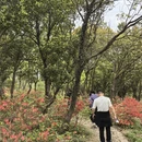 苏州旅游 缩略图 8