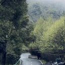 黄山旅游 缩略图 4