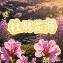伊春旅游 缩略图 1