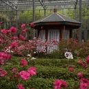 黄冈旅游 缩略图 5