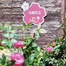 黄冈旅游 缩略图 11