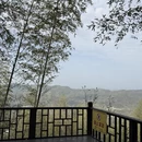 武汉旅游 缩略图 10