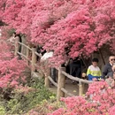 武汉旅游 缩略图 6