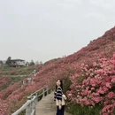 武汉旅游 缩略图 7