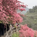 武汉旅游 缩略图 8
