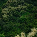 深圳旅游 缩略图 3