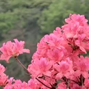 武汉旅游 缩略图 11