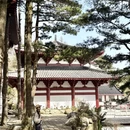 武汉旅游 缩略图 8