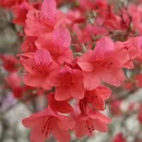 黄冈旅游 缩略图 13