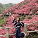 武汉旅游 缩略图 3