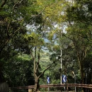深圳旅游 缩略图 5