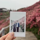 武汉旅游 缩略图 14