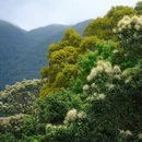 深圳旅游 缩略图 7