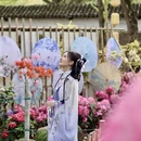 苏州旅游 缩略图 4