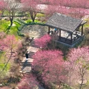上饶旅游 缩略图 2